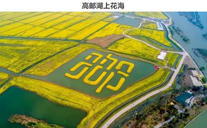 微信图片_20250224160855.png