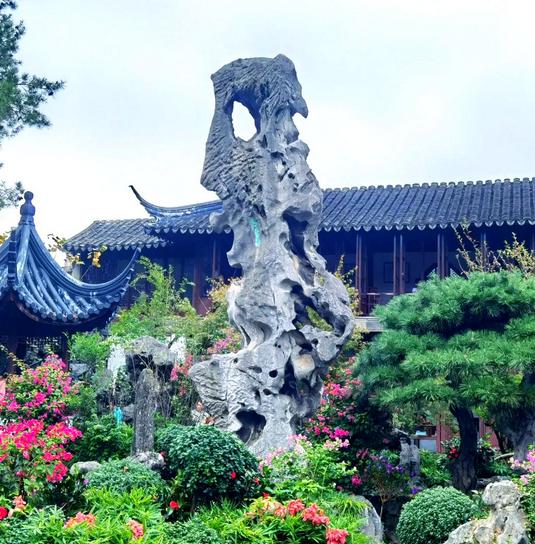 拙政园 (2).jpg