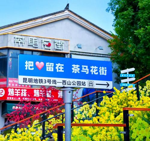 茶马花街.jpg