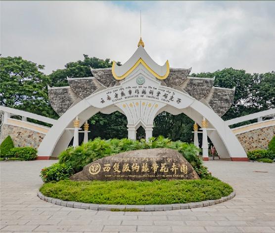 热带花卉园.jpg